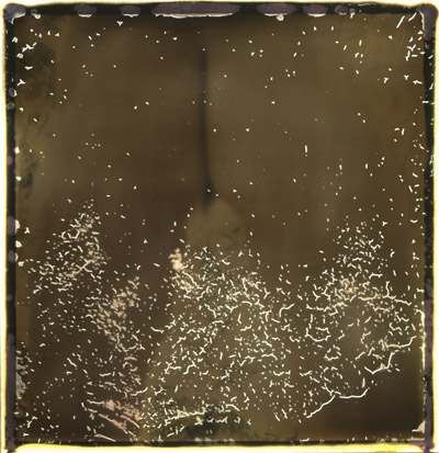 <Triptyque 05>