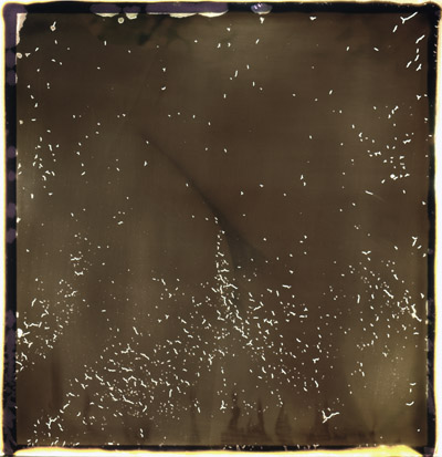 <Triptyque 05>